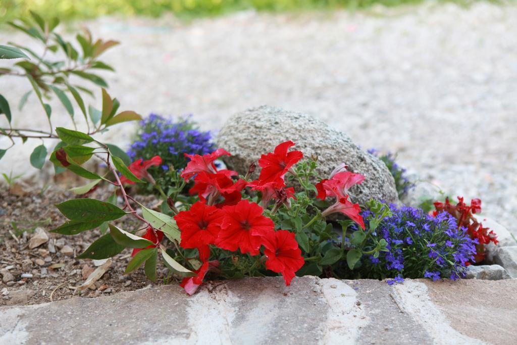 Agriturismo Al Franet Tremosine ภายนอก รูปภาพ