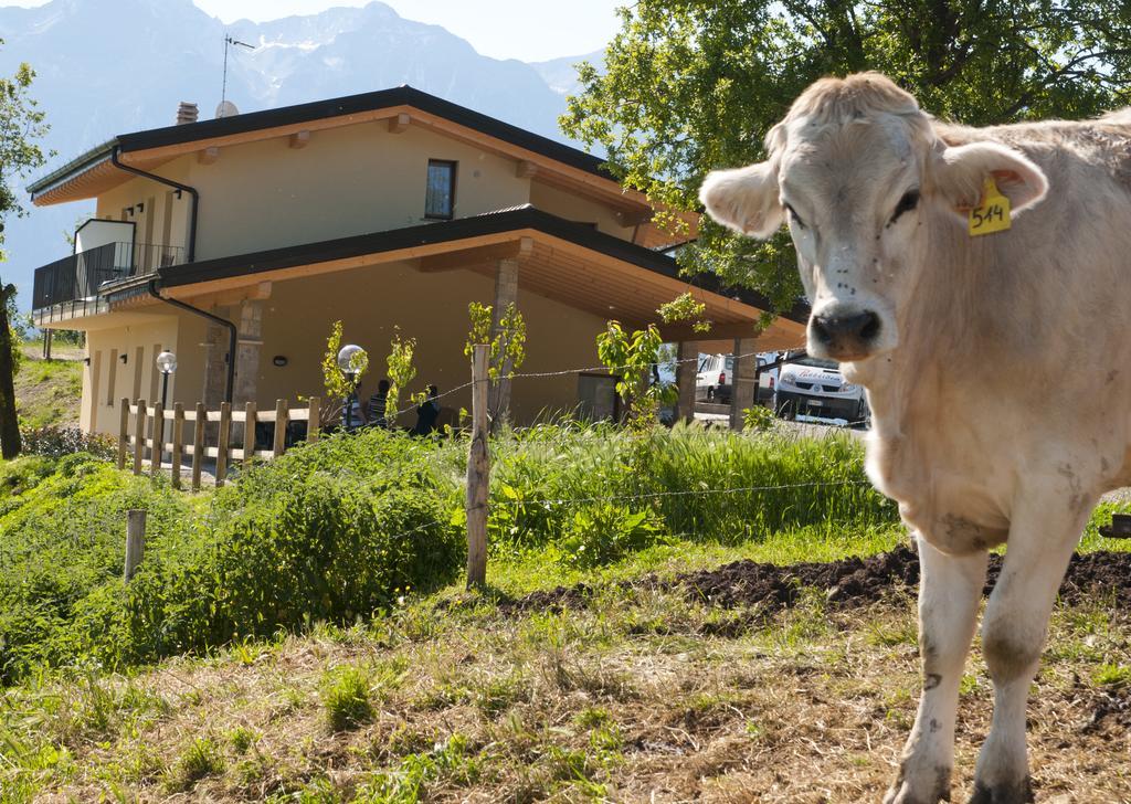 Agriturismo Al Franet Tremosine ภายนอก รูปภาพ
